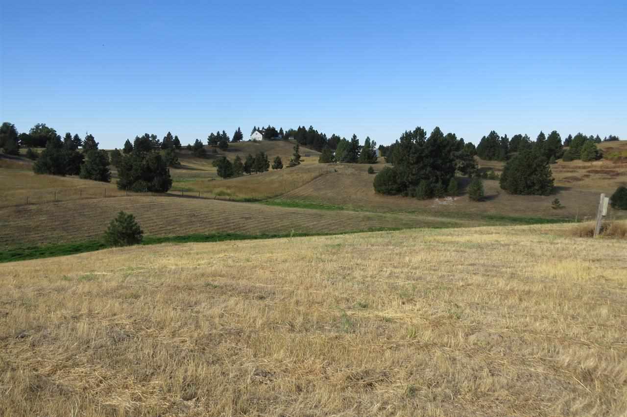 12010 West Orchard Terrace Road Cheney, WA 99004 - Photo 9 of 12