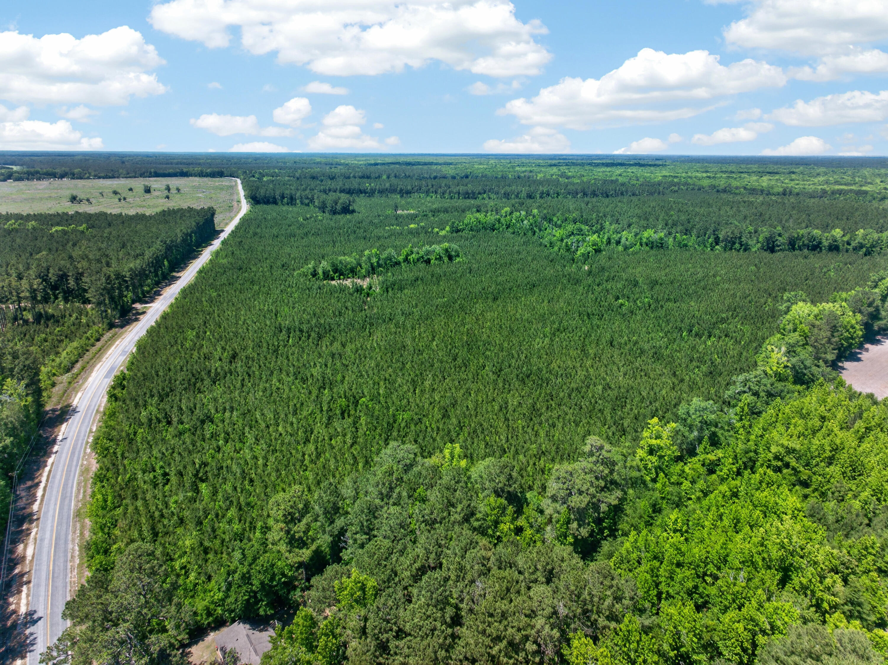 5120 North Brewington Road, Unit 10 Alcolu, SC 29001 - Photo 40 of 40 DJI_20260521133347_0057_D