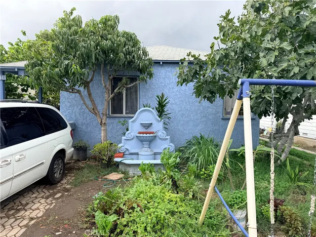 a view of backyard with potted plants and a large tree
