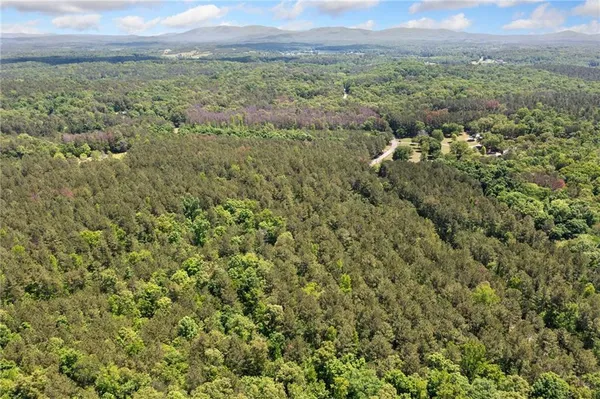 a view of a green field with lots of bushes