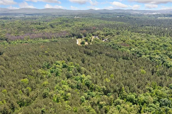 a view of a lush green forest with lush green forest and mountain view