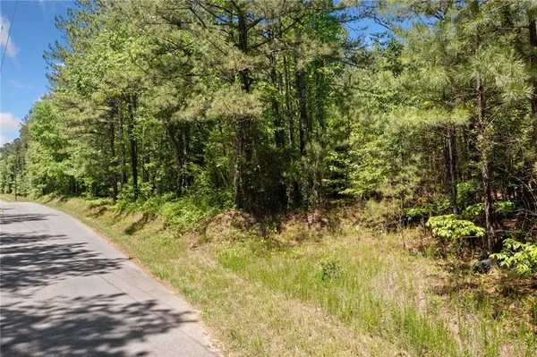 a view of a yard with plants