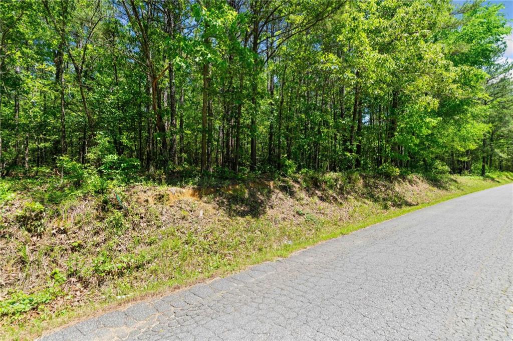 0 Timberwood Road Northwest White, GA 30184 - Photo 7 of 25