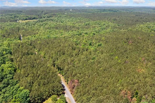 a view of a field with an trees