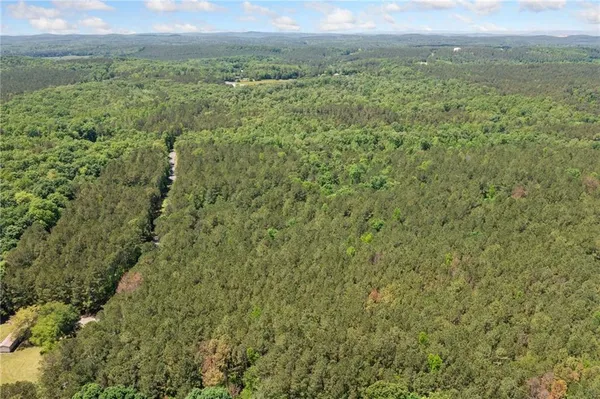 a view of a field with an trees