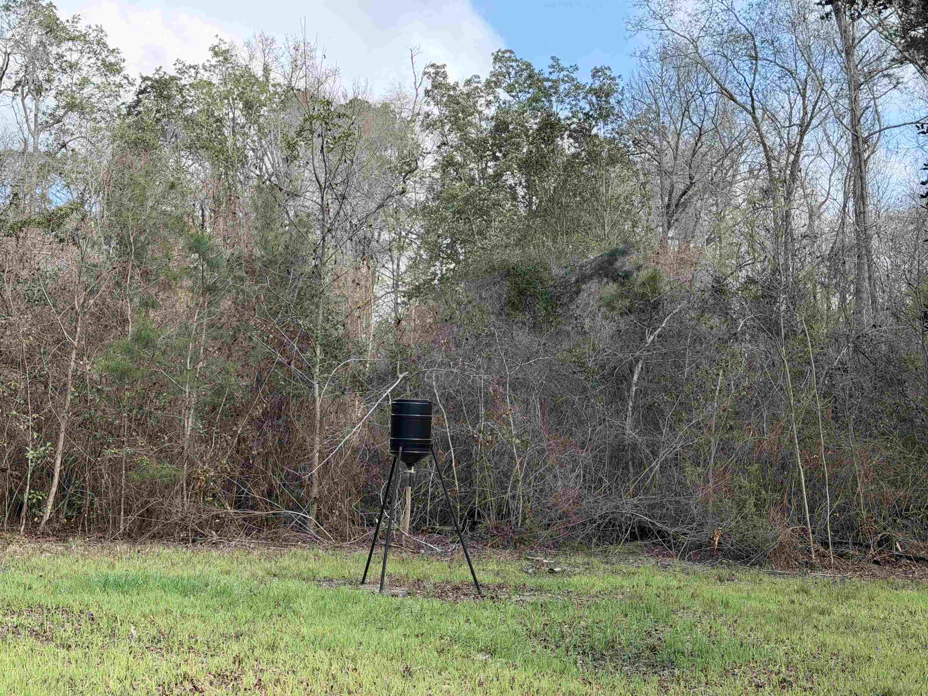 Xxx Shady Rest Road Havana, FL 32333 - Photo 15 of 39 Gallery Image 15