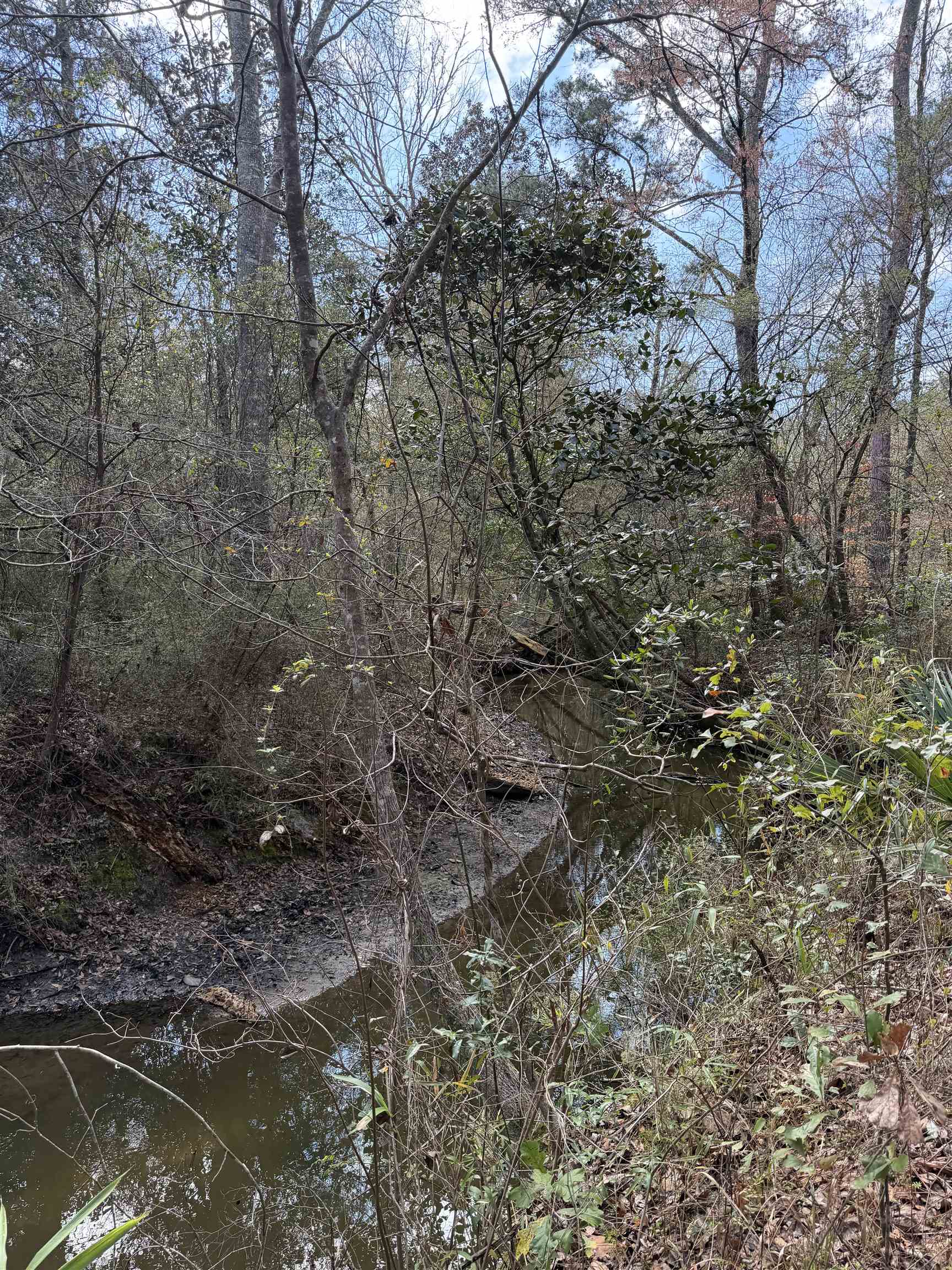 Xxx Shady Rest Road Havana, FL 32333 - Photo 16 of 39 Gallery Image 16