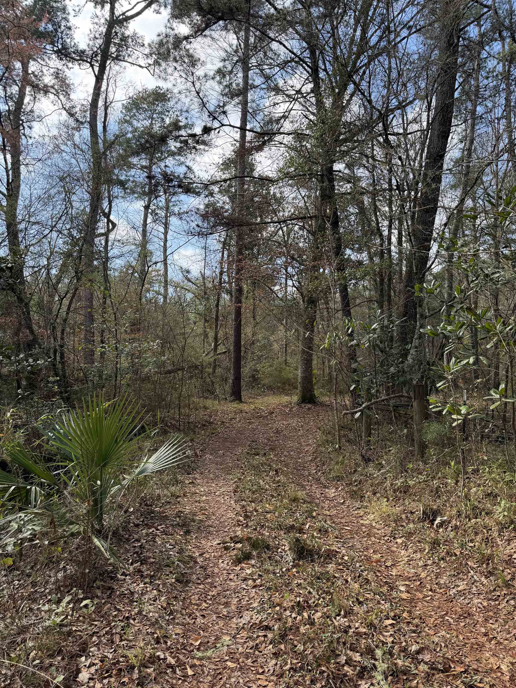 Xxx Shady Rest Road Havana, FL 32333 - Photo 18 of 39 Gallery Image 18