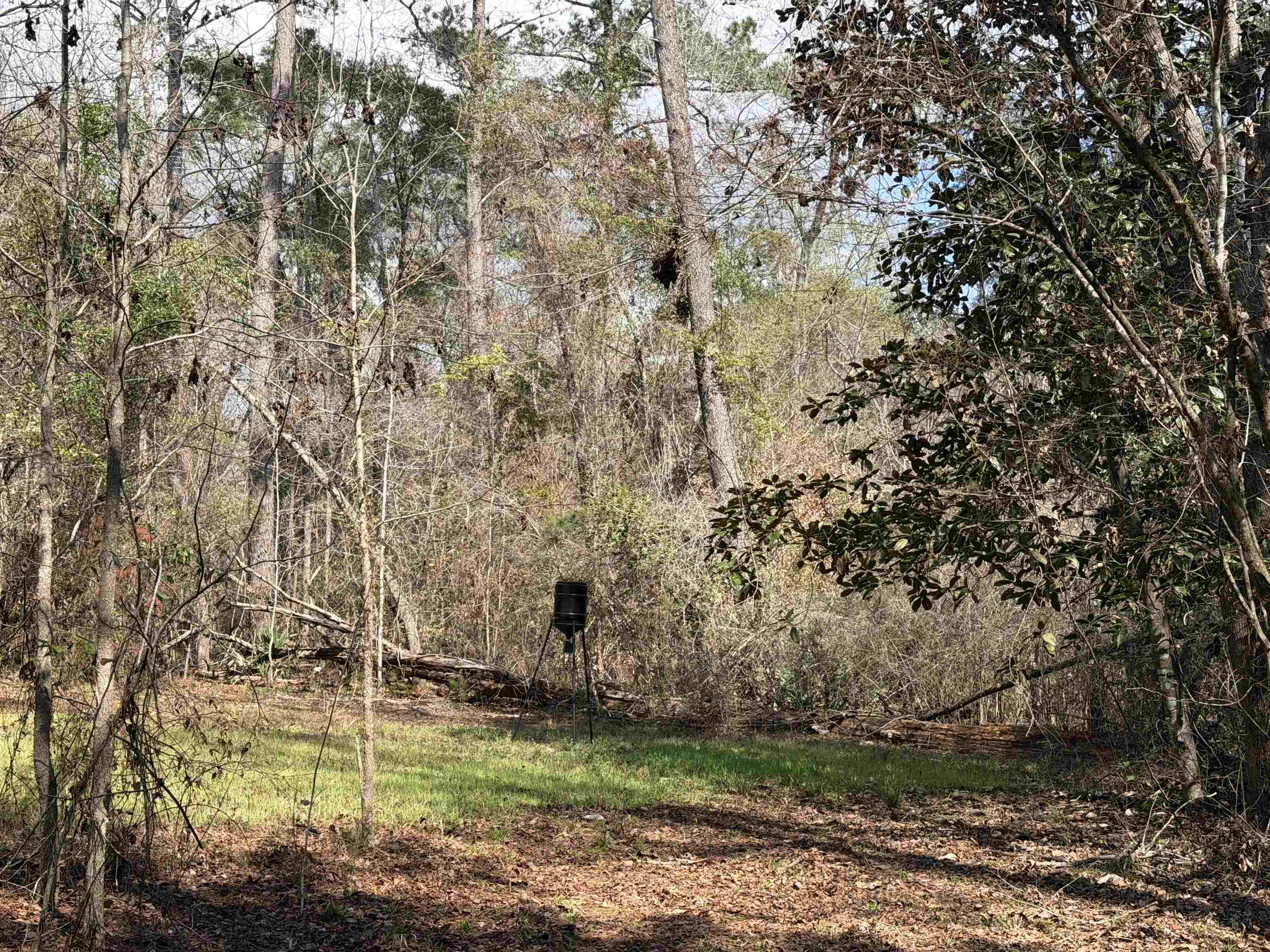 Xxx Shady Rest Road Havana, FL 32333 - Photo 28 of 39 Gallery Image 28