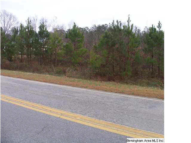 Providence Road, Unit 1 5 Tallapoosa, GA 30176 - Photo 3 of 5