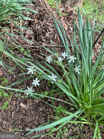 $235,000 | 41 Pine Ln Drive, Athens, GA 30601