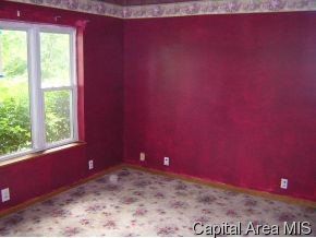 3939 Old Rte 66 Mount Olive, IL 62069 - Photo 3 of 12