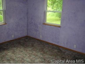 3939 Old Rte 66 Mount Olive, IL 62069 - Photo 4 of 12