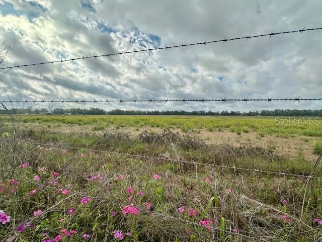 a view of a yard