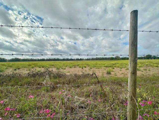 Southwest 80th Street Trenton, FL 32693 - Photo 3 of 11