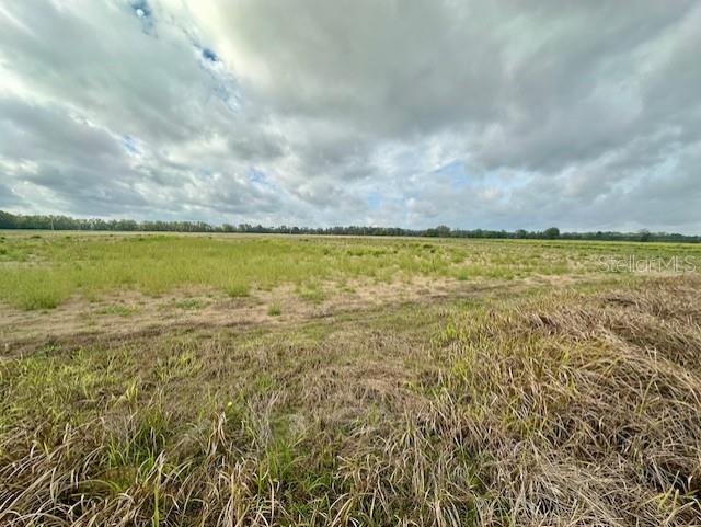 Southwest 80th Street Trenton, FL 32693 - Photo 5 of 11 a view of an ocean and beach