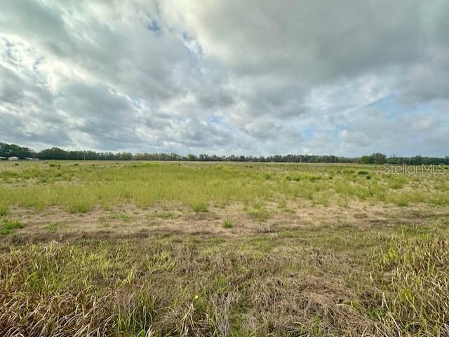 Southwest 80th Street Trenton, FL 32693 - Photo 7 of 11