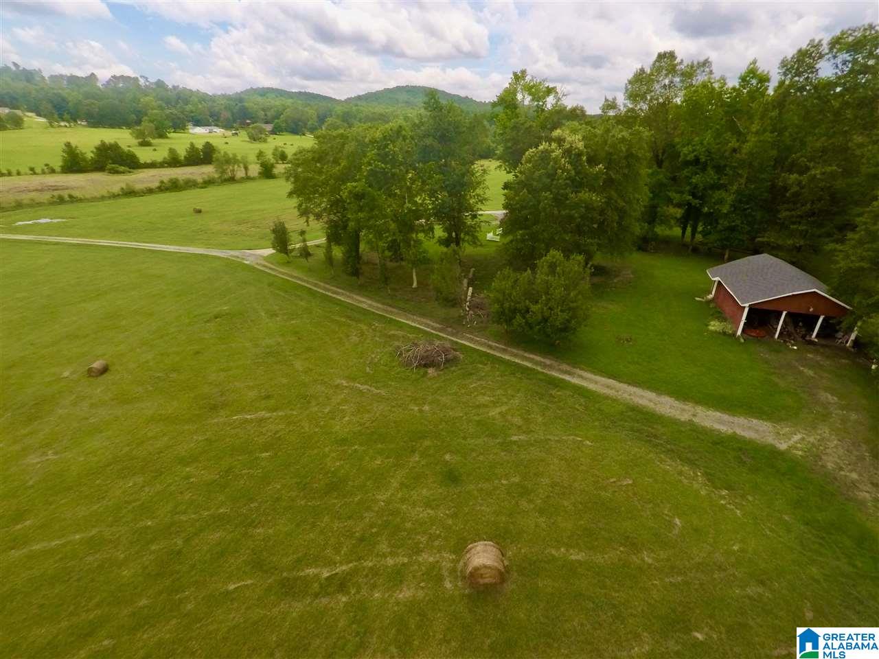 3775 Tidwell Hollow Road Oneonta, AL 35121 - Photo 49 of 49