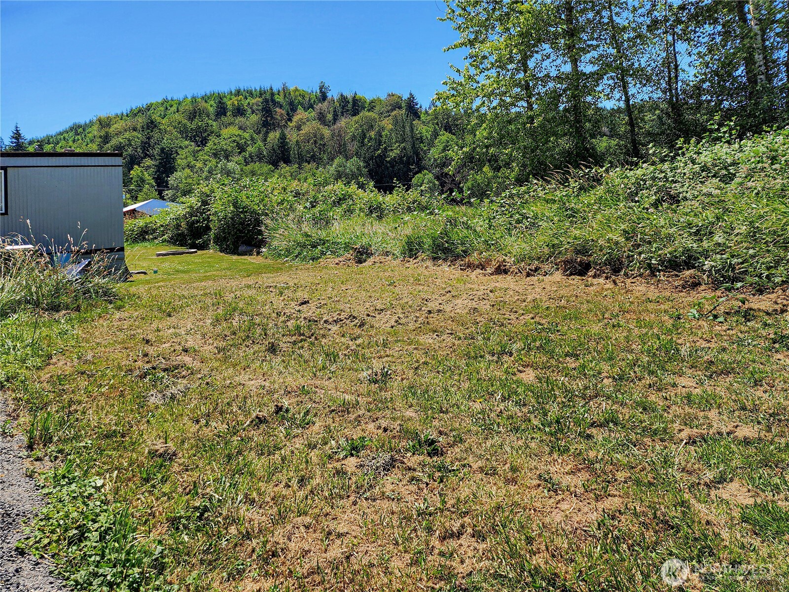 176 Nix Lane Centralia, WA 98531 - Photo 6 of 25 a view of a yard with plants and large trees
