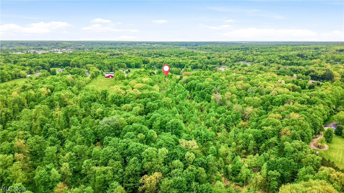 6667 Chestnut-Ridge Road Hubbard, OH 44425 - Photo 33 of 35 Expansive wooded lot featuring mature trees and a substantial tree canopy