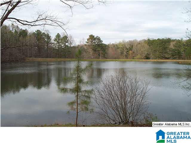 310 County Road 921 Delta, AL 36258 - Photo 2 of 14