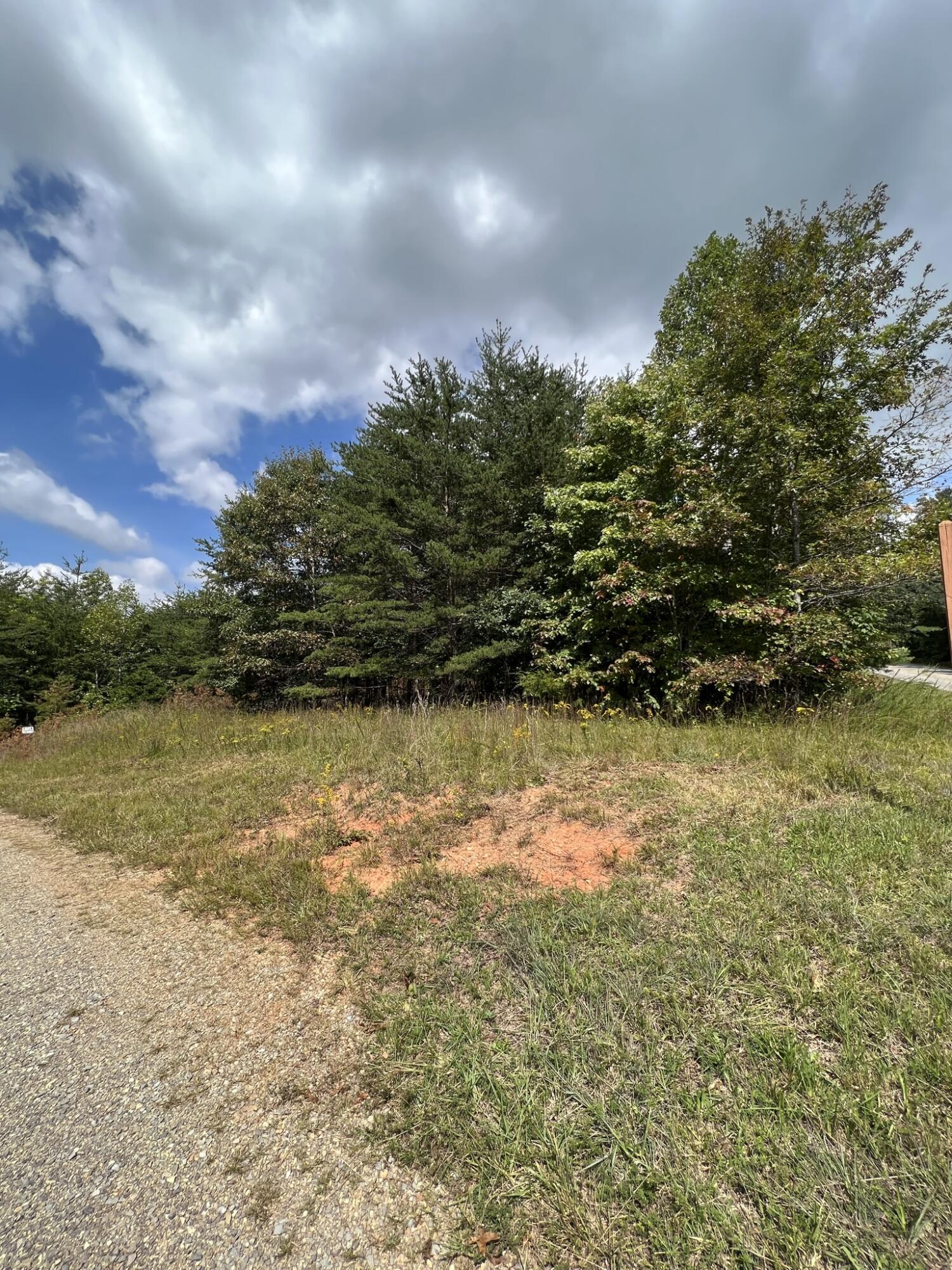 0 Sawmill Road Ferrum, VA 24088 - Photo 3 of 8 a view of lake