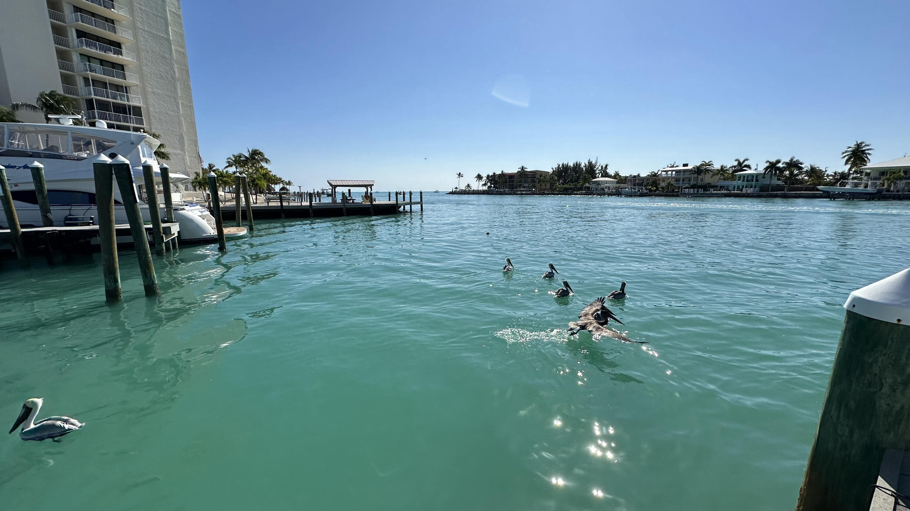 97 Coco Plum Drive, Unit T7 Marathon, FL 33050 - Photo 15 of 24 a view of a lake