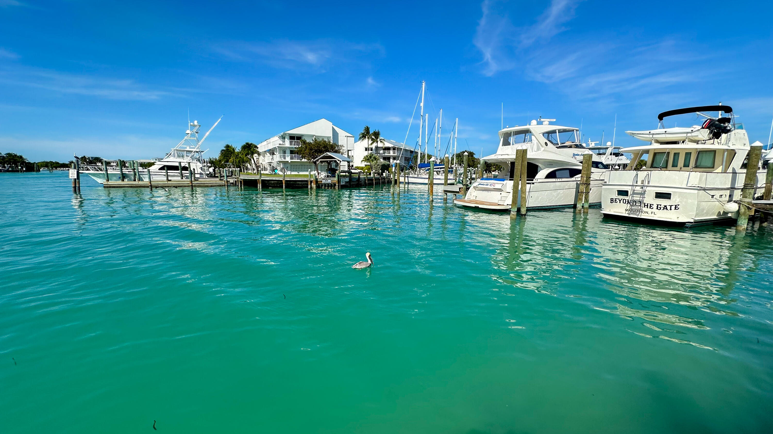 97 Coco Plum Drive, Unit T7 Marathon, FL 33050 - Photo 16 of 24 a view of yard with car parked