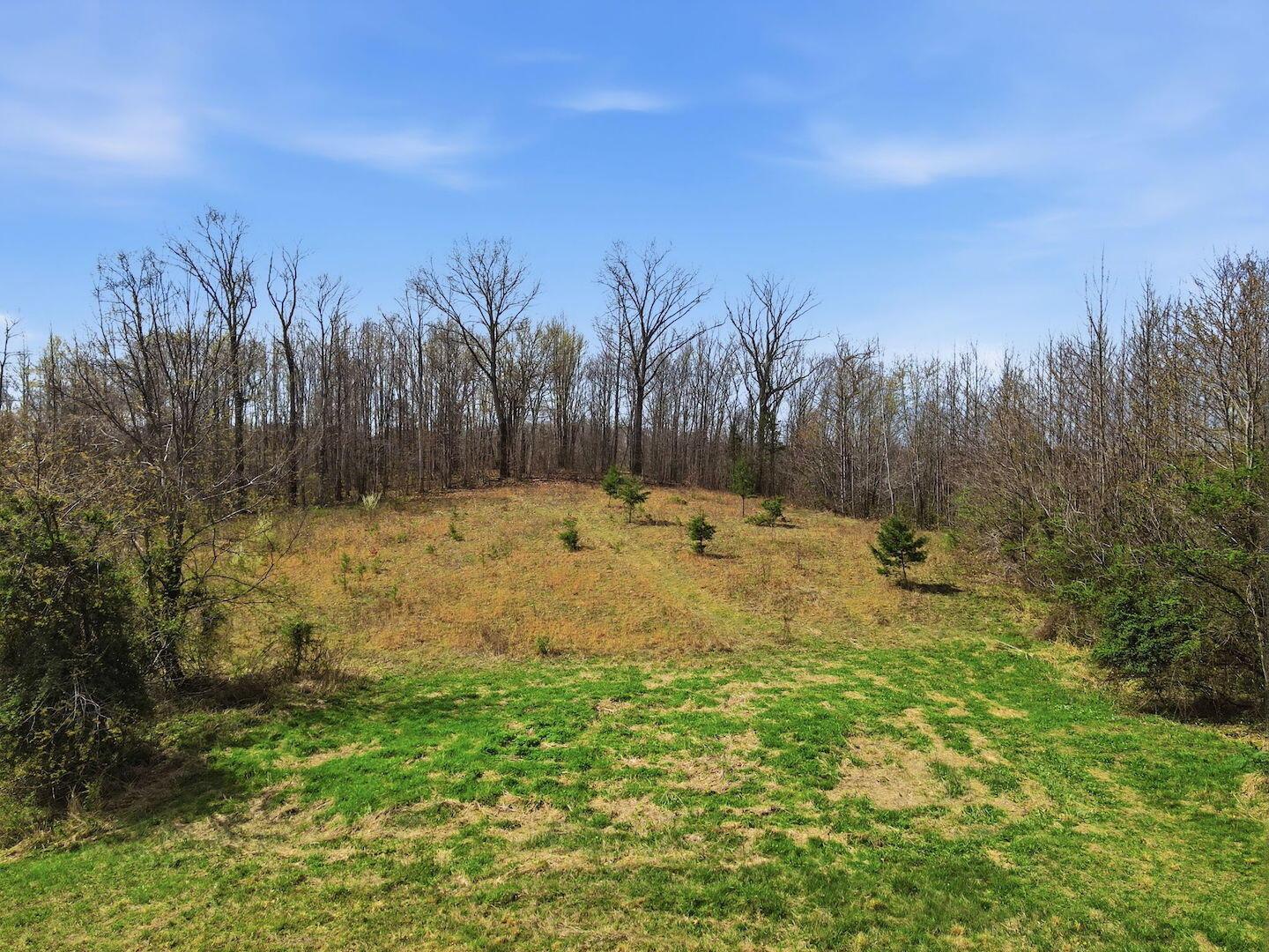 0 Roberts Road Jackson, OH 45640 - Photo 22 of 42 22-web-or-mls-DJI_0663