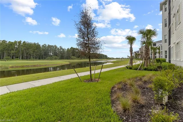 a view of a park with large trees