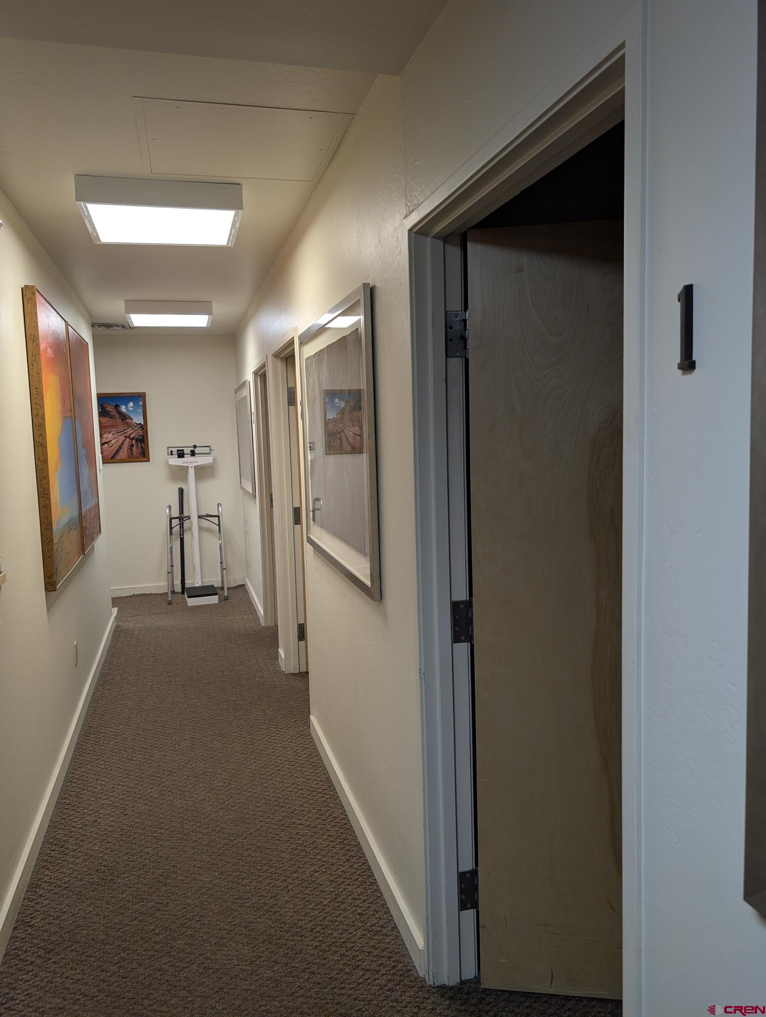 1201 Main Street, Unit 203A AND 203B Durango, CO 81301 - Photo 10 of 10 a view of hallway