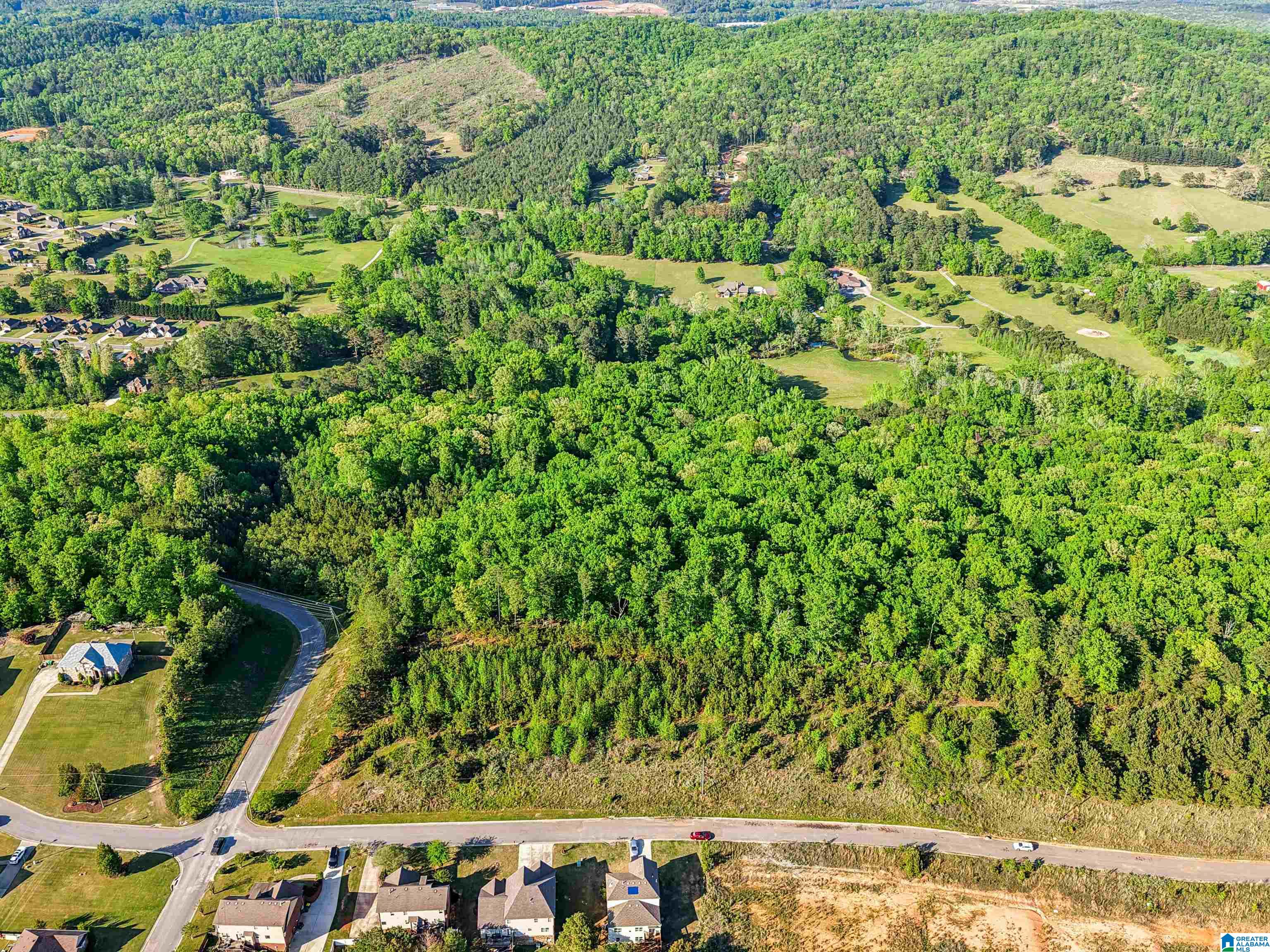 1680 Highway 174 Springville, AL 35146 - Photo 38 of 97