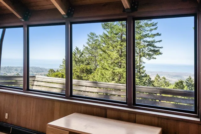 a view of a window and tree in a yard