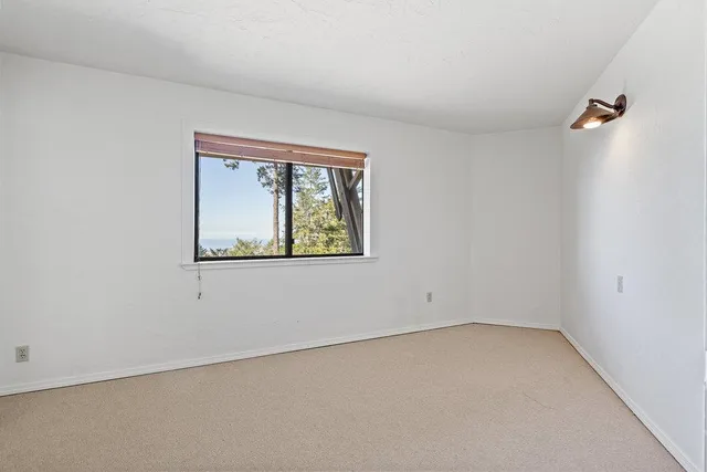 a view of a wooden door with a tree