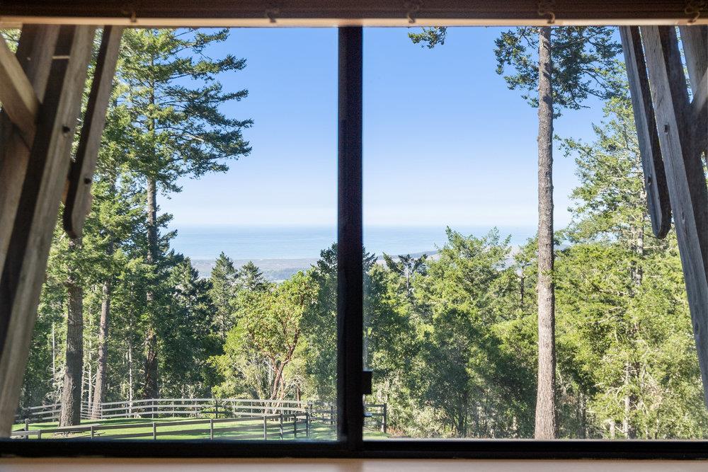 200 South Ranch Road Pescadero, CA 94060 - Photo 36 of 72 a view of a window and tree in a yard