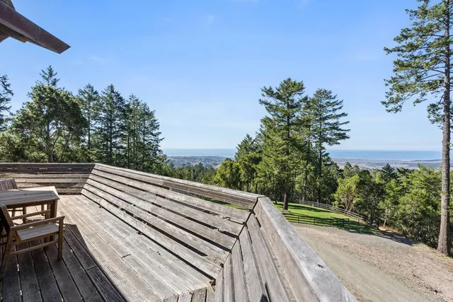 a view of a backyard with plants