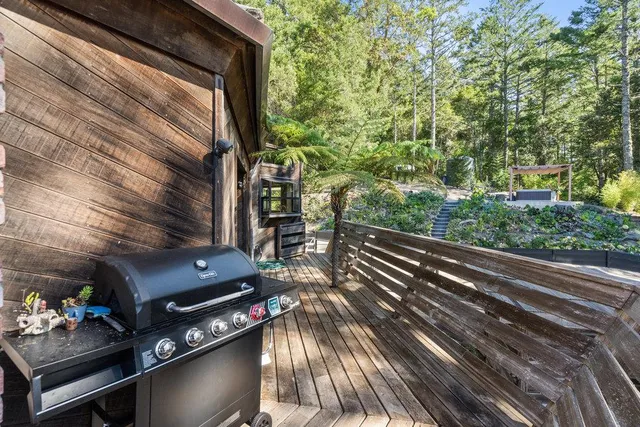 a view of a park with large trees