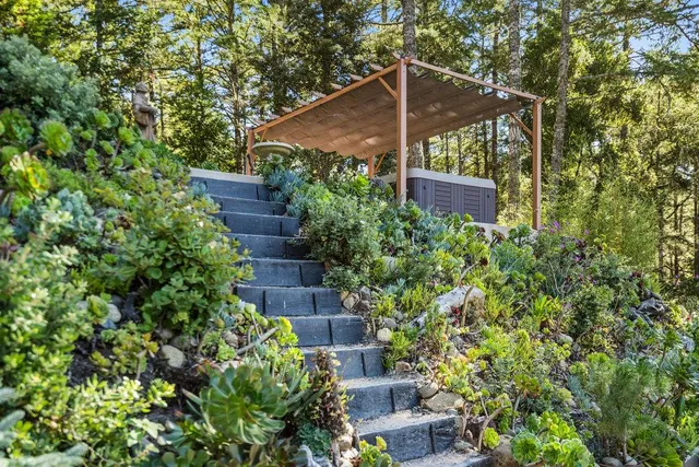 a view of dirt yard with trees