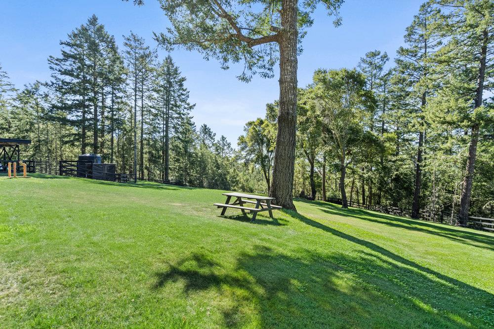 200 South Ranch Road Pescadero, CA 94060 - Photo 62 of 72 a view of a park with large trees