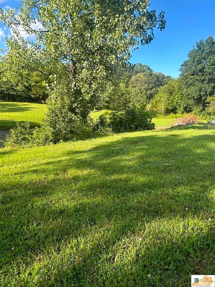 2762 Reese Hurt Road Edmonton, KY 42129 - Photo 11 of 12 Gallery Image 11