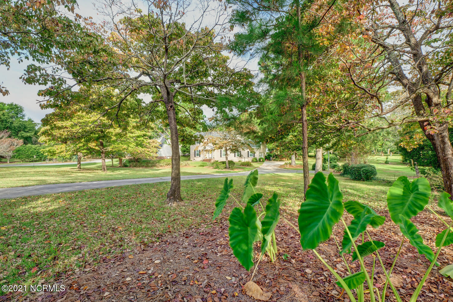 341 Olde Point Loop Hampstead, NC 28443 - Photo 3 of 58 341 Olde Point Loop Hampstead-large-003-
