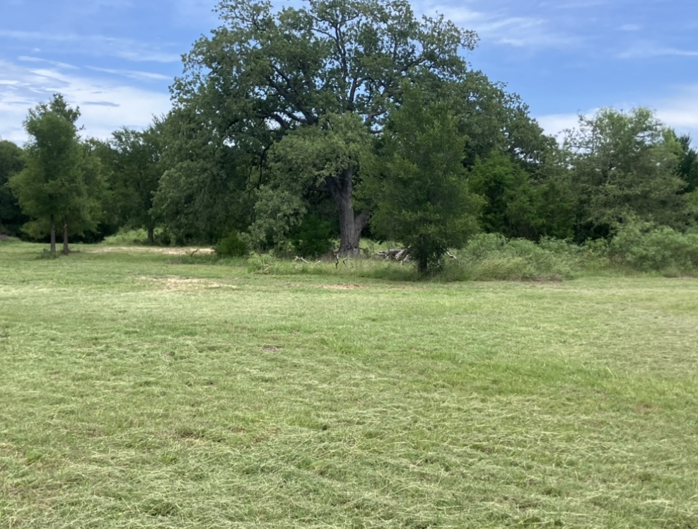 317 Pleasant Grove Loop Elgin, TX 78621 - Photo 2 of 7 a view of a field with a tree