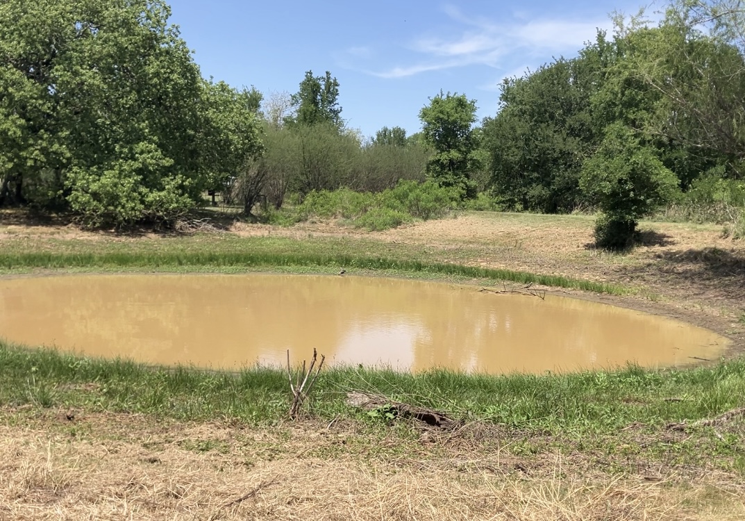 317 Pleasant Grove Loop Elgin, TX 78621 - Photo 4 of 7 a view of a lake with outdoor space