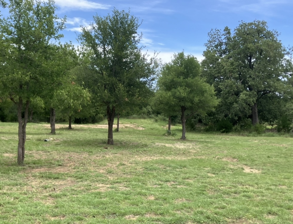 317 Pleasant Grove Loop Elgin, TX 78621 - Photo 5 of 7