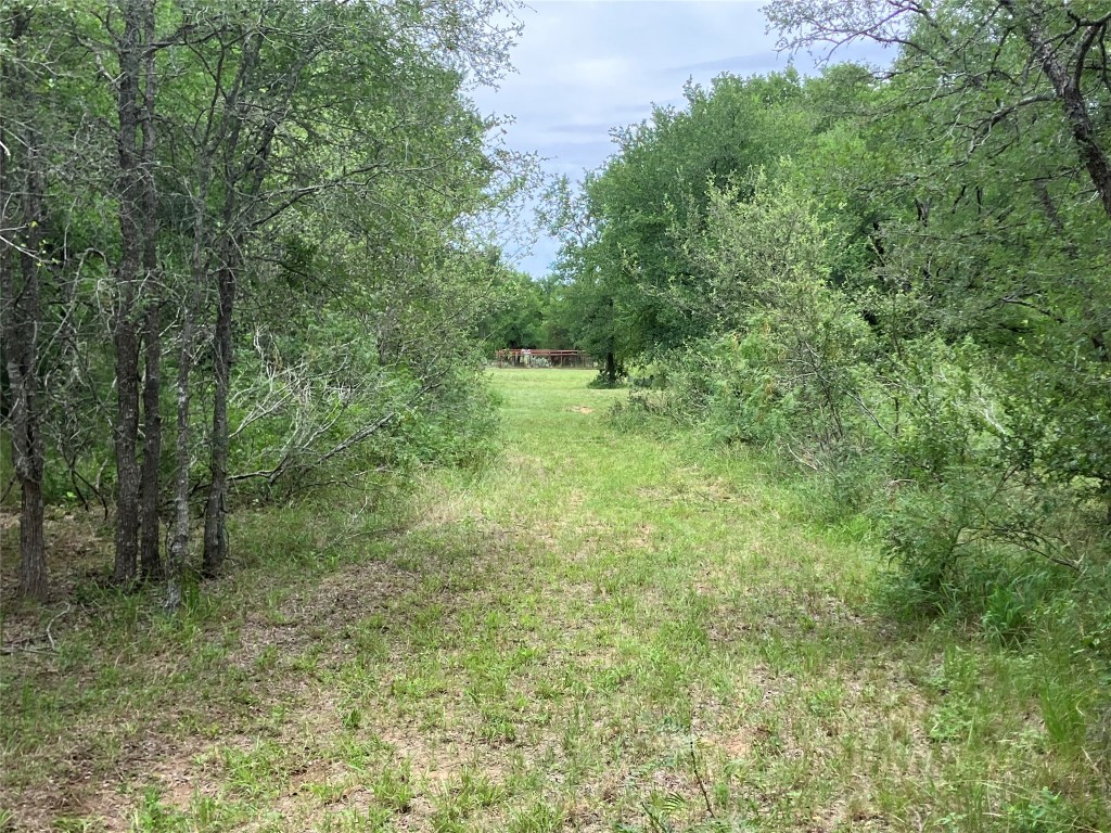 317 Pleasant Grove Loop Elgin, TX 78621 - Photo 6 of 7 a view of a yard with a tree