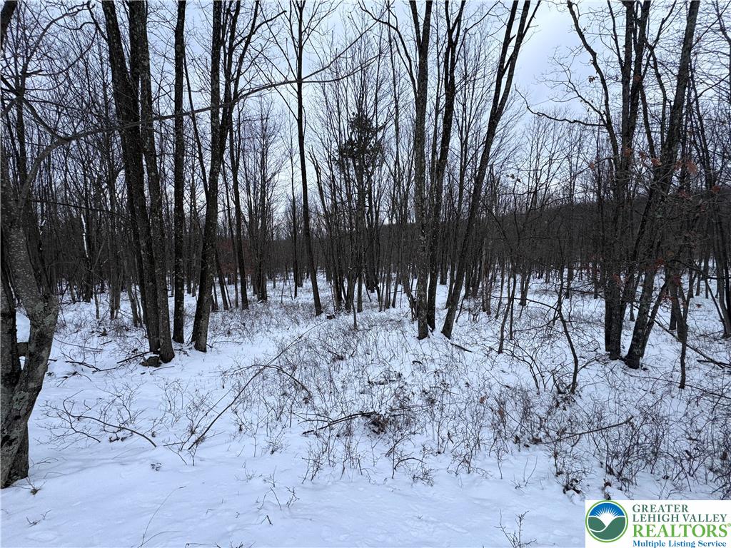 230 Elderberry Lane Hazleton, PA 18202 - Photo 2 of 18