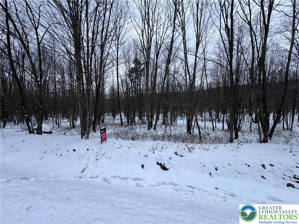 230 Elderberry Lane Hazleton, PA 18202 - Photo 3 of 18