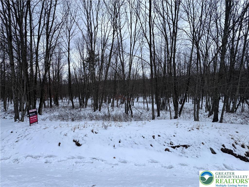 230 Elderberry Lane Hazleton, PA 18202 - Photo 5 of 18