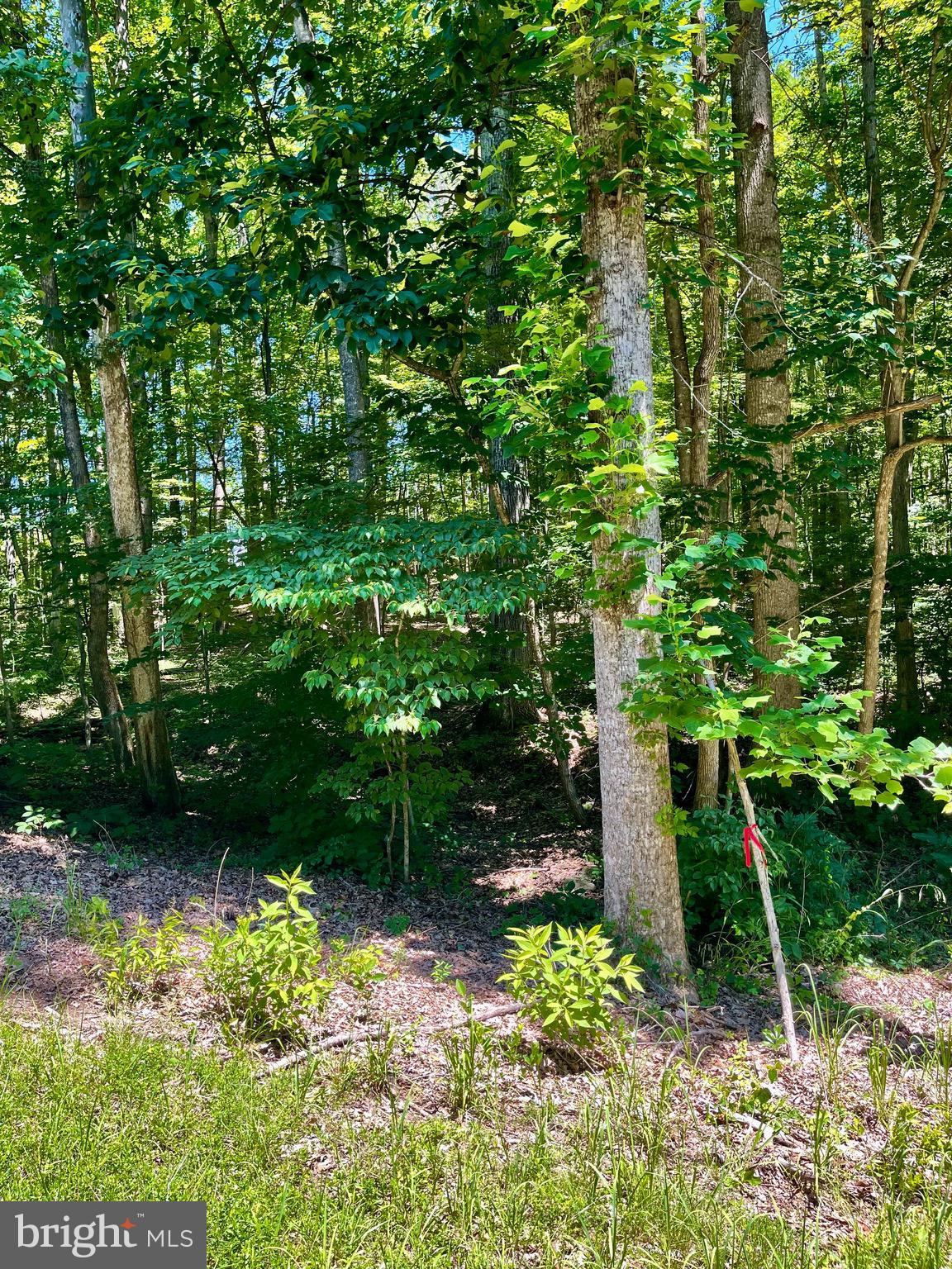 North Blue Ridge Road Louisa, VA 23093 - Photo 1 of 15 Gallery Image 1