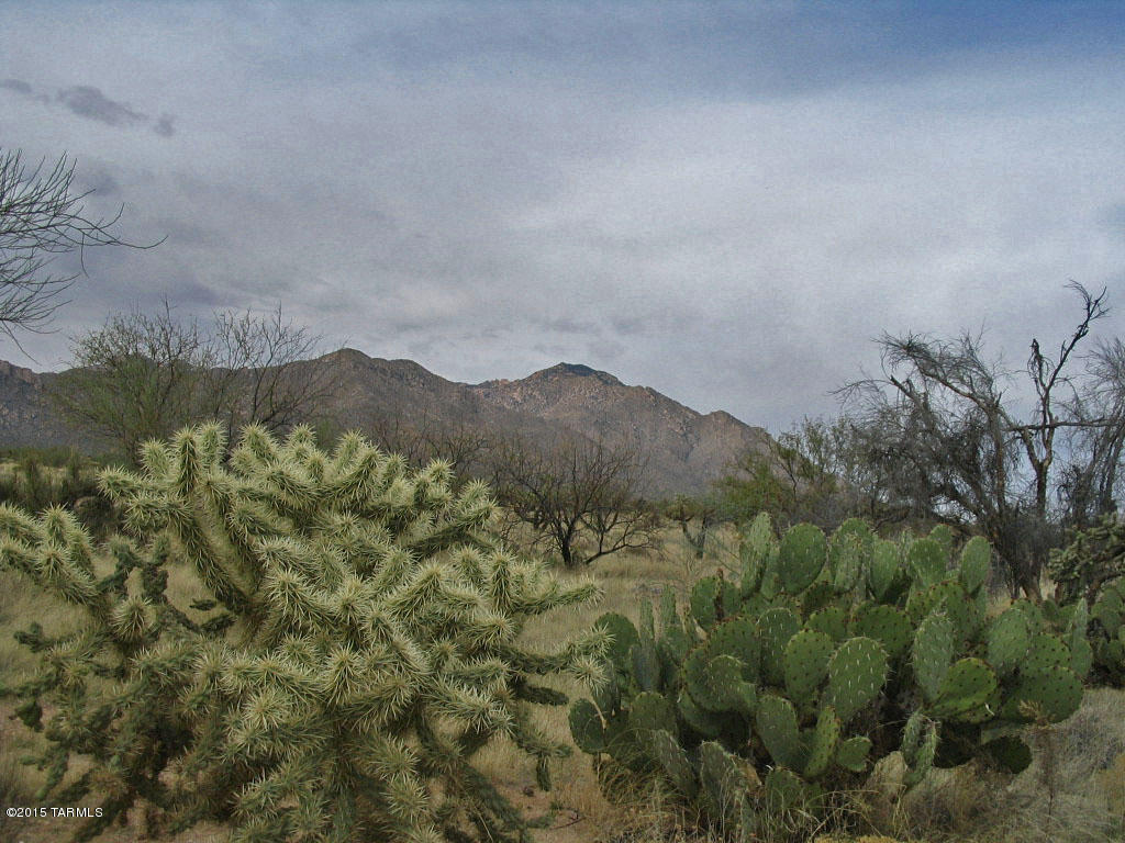 South Tila Road Tucson, AZ 85735 - Photo 3 of 7 Gallery Image 3